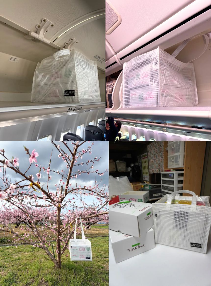 「EBISTトート | FRUIT BOX」の特徴