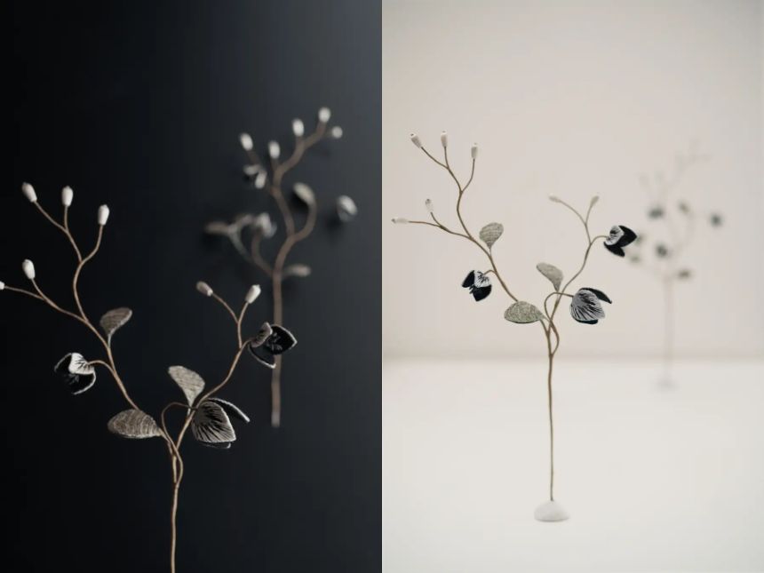 AFLO+　撮影：皆川真弓