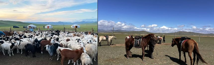 スタディツアー