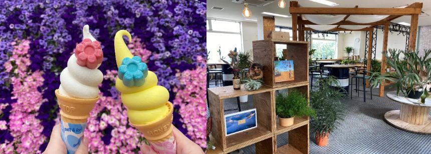 スイセンソフト