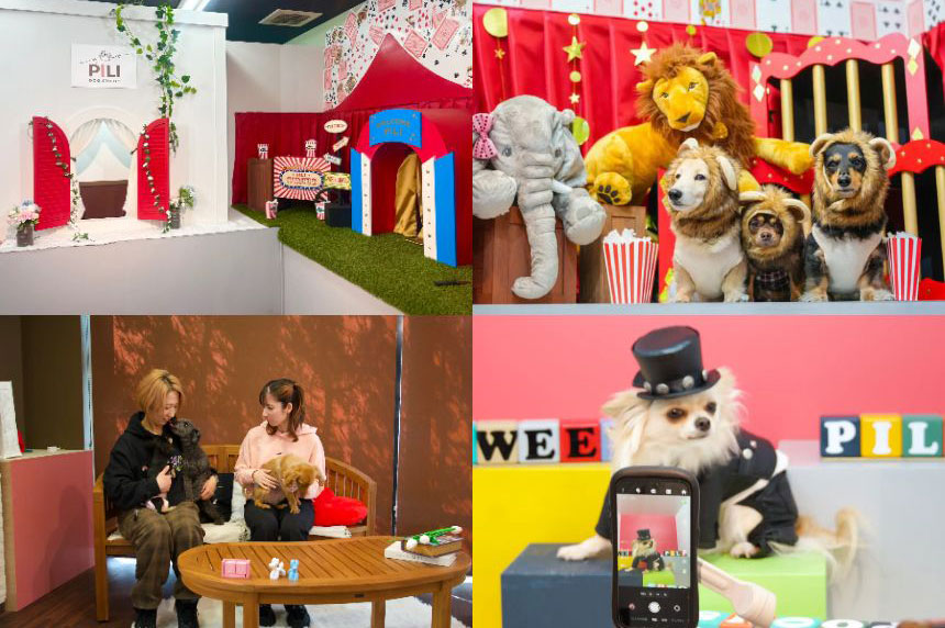 新しいドッグフォト体験、『PILI Dog Studio』