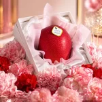 母の日に贈る千疋屋総本店の宮崎マンゴーギフト