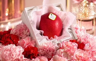 母の日に贈る千疋屋総本店の宮崎マンゴーギフト