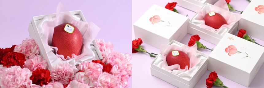 宮崎県産完熟マンゴーを使用した母の日限定ギフト