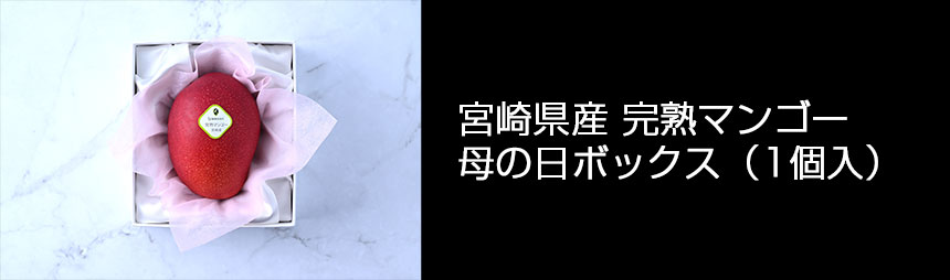 宮崎県産 完熟マンゴー 母の日ボックス（1個入）