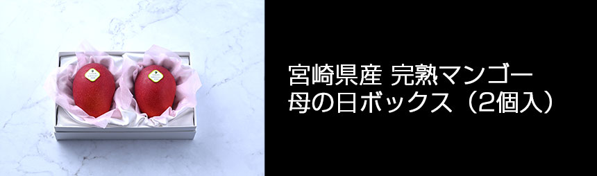 宮崎県産 完熟マンゴー 母の日ボックス（2個入）