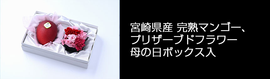 宮崎県産完熟マンゴー、プリザーブドフラワー