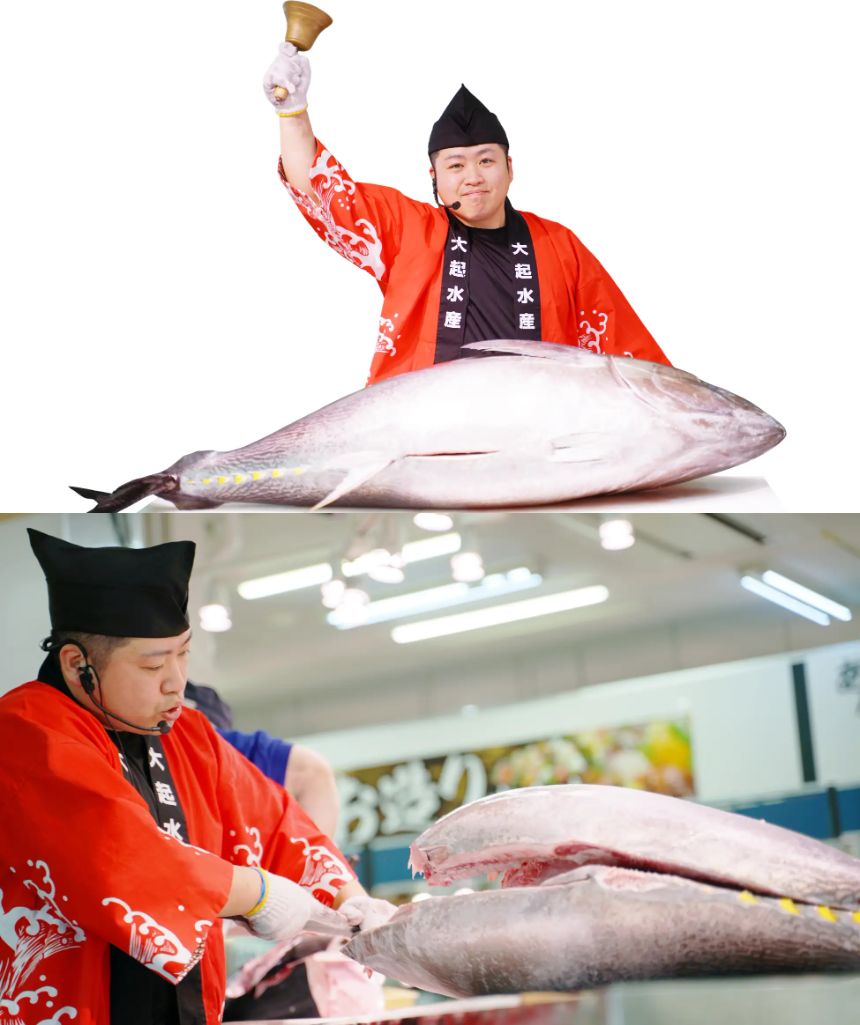 生・本まぐろ解体ショー