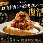 ココイチの人気メニュー「ホロ肉ドカンと豪快カレー」