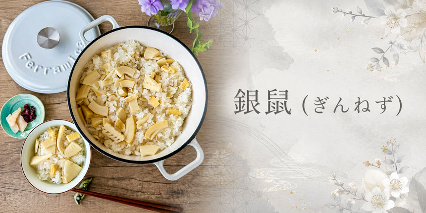HOTPAN 銀鼠(ぎんねず)