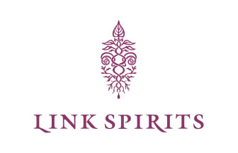 LINK SPIRITS