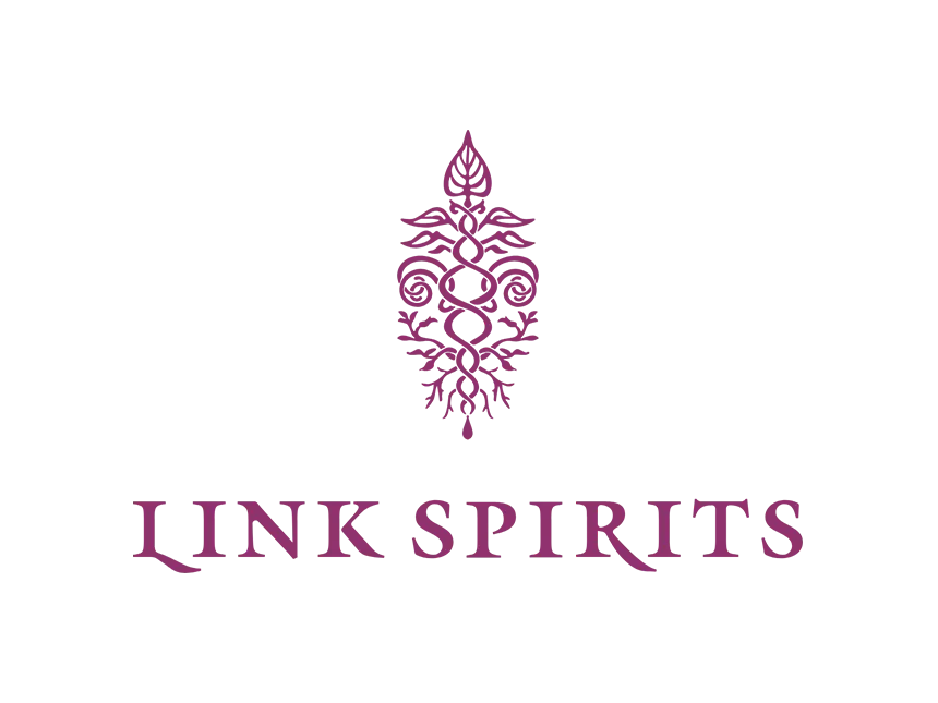 LINK SPIRITS