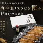 碧海冷凍メスうなぎ極み