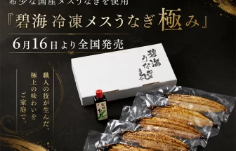 碧海冷凍メスうなぎ極み