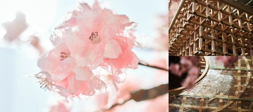 伝統工芸「越前和紙」の裁断端材が採用