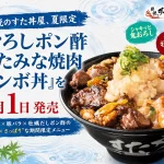 おろしポン酢すたみな焼肉コンボ丼