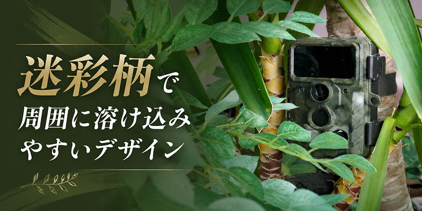 屋外の風景になじみやすく、目立ちにくい外観