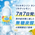無糖炭酸水『ウィルキンソン タンサン ソルティレモン』