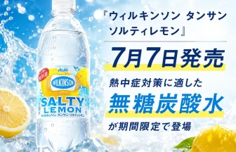 無糖炭酸水『ウィルキンソン タンサン ソルティレモン』