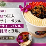 ALOHA LIVING Café