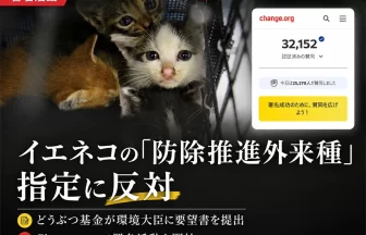 Change.orgオンライン署名活動