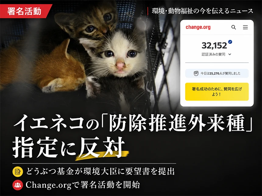 Change.orgオンライン署名活動