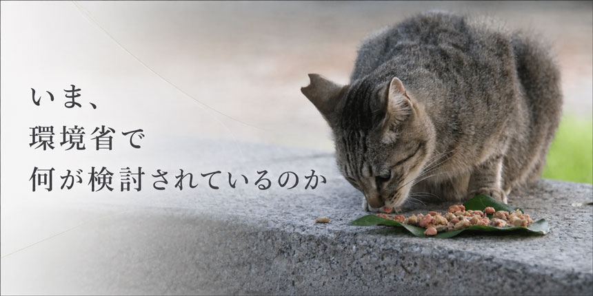 野良猫・飼い猫を含む「イエネコ」に広げ、「防除推進外来種」に位置づける方向で最終調整