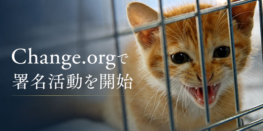 署名活動開始