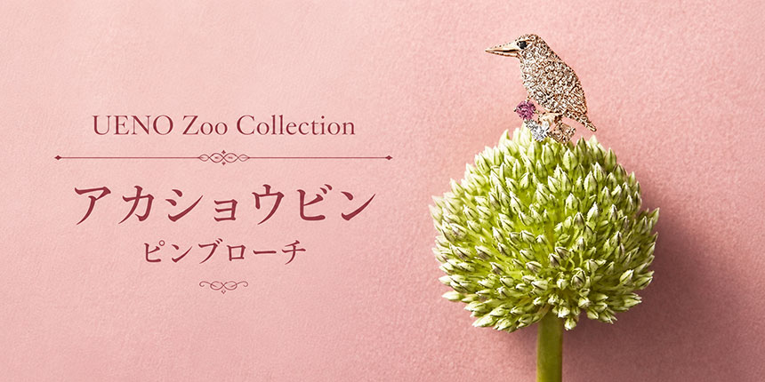 UENO Zoo Collection アカショウビン ピンブローチのタイトル画像
