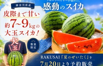 蛭田さんの大玉スイカ『夏のぜいたく』