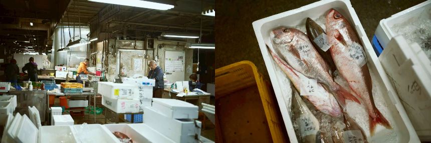 自社仲卸の魚屋海老蔵が市場で目利きした旬の魚介