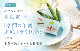手作り羊羹「季節の羊羹 水底のかくれんぼ」