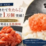 工場直送 できたて生たらこ