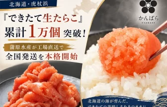 工場直送 できたて生たらこ