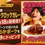 すき家「ポークロックカレー」