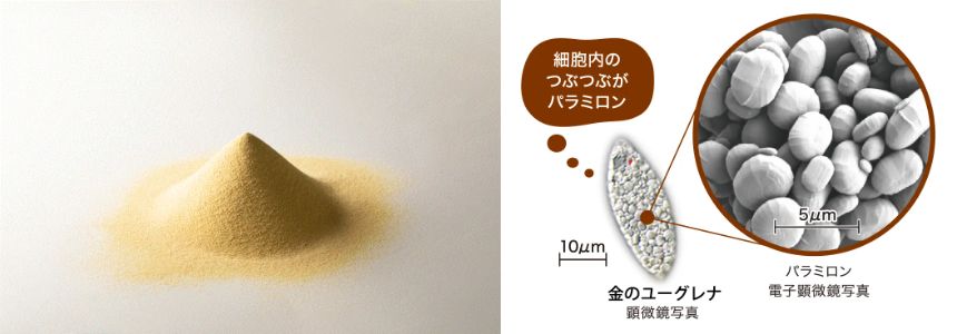 金のユーグレナ®