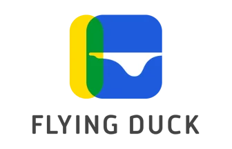 Flying Duck