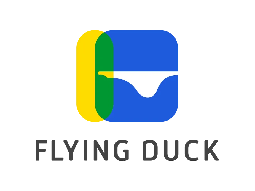 Flying Duck