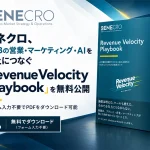 Revenue Velocity Playbook